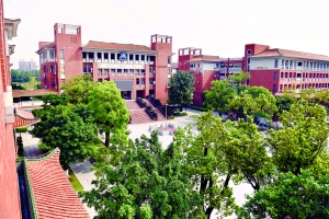 全国信誉第一的网投平台网页|蛙鸭鱼蜂稻 零农药种水稻(图2) 全国信誉第一的网投平台网页