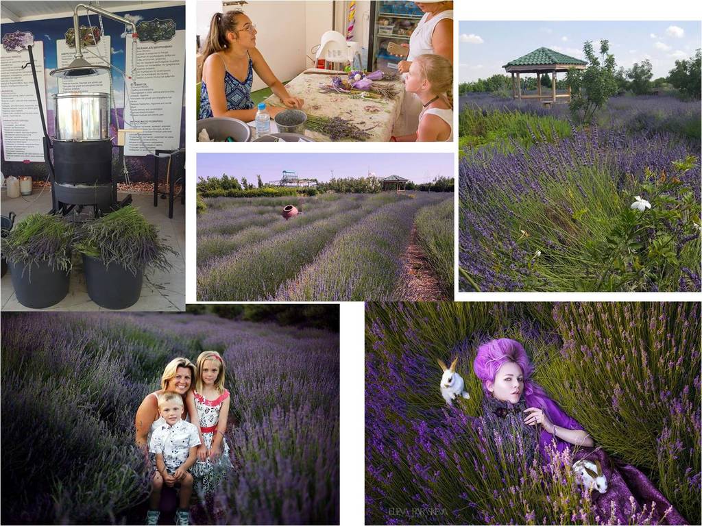 全国信誉第一的网投平台