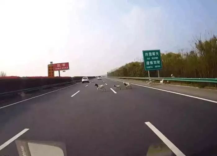 全国信誉第一的网投平台网页