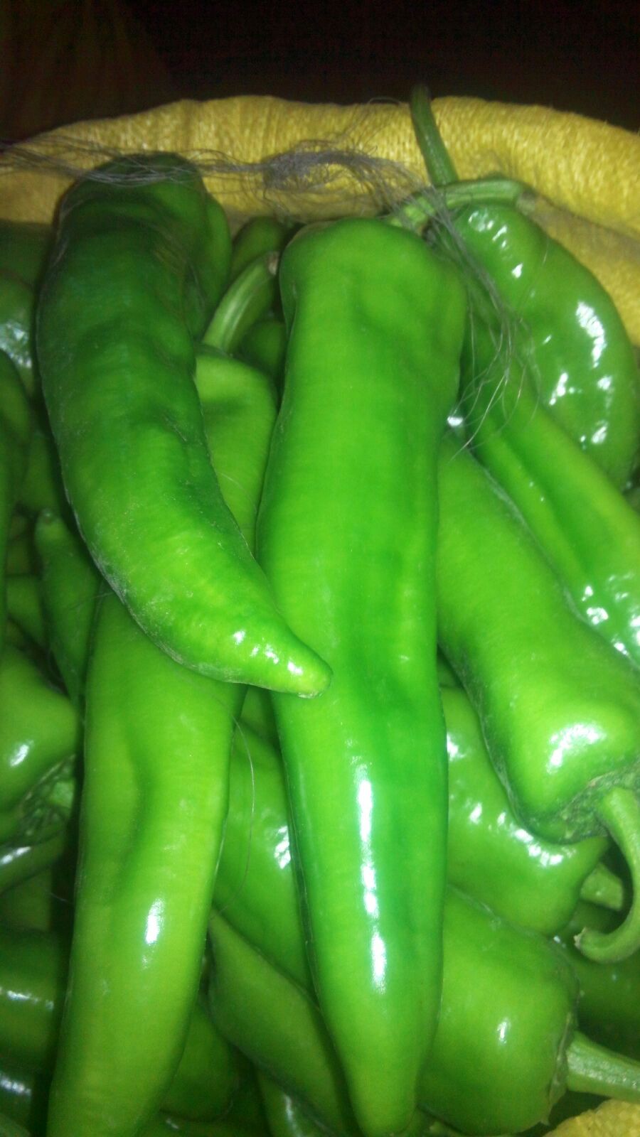 全国信誉第一的网投平台网页